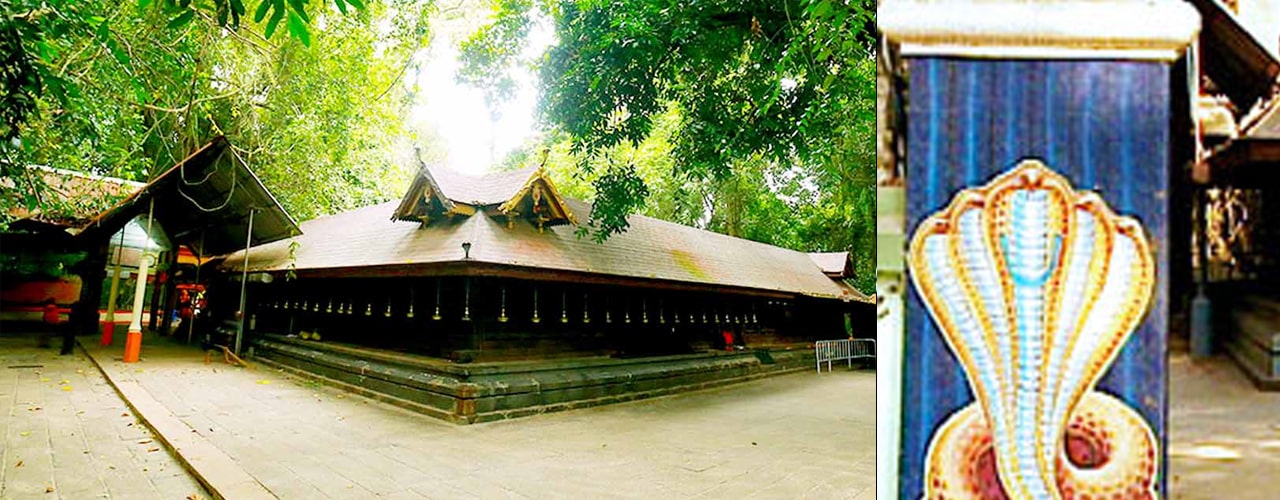 Mannarasala Sree Nagaraja Temple, Mannarasala
